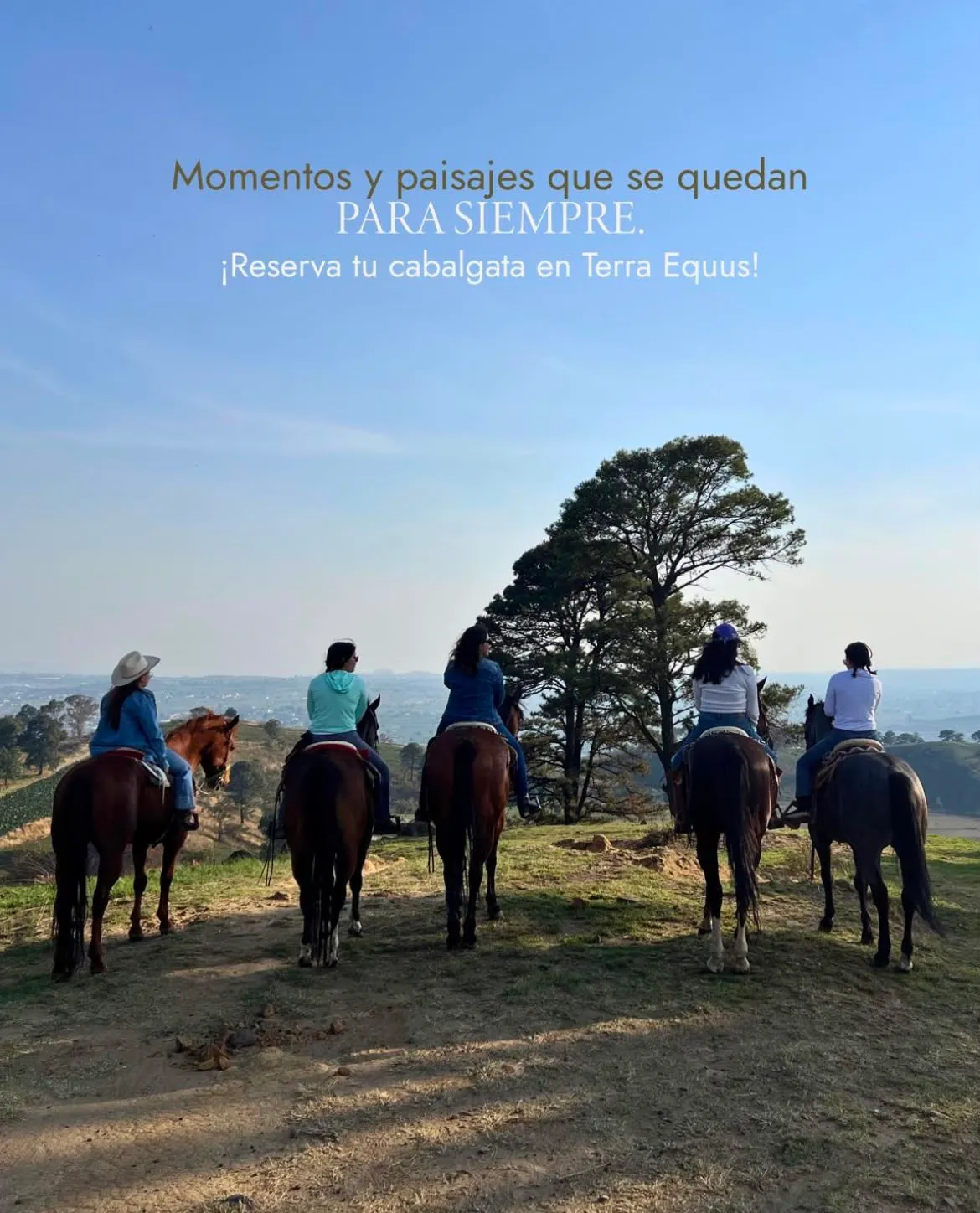 Terra Equus — foto 1, San Pedro Cholula, Puebla